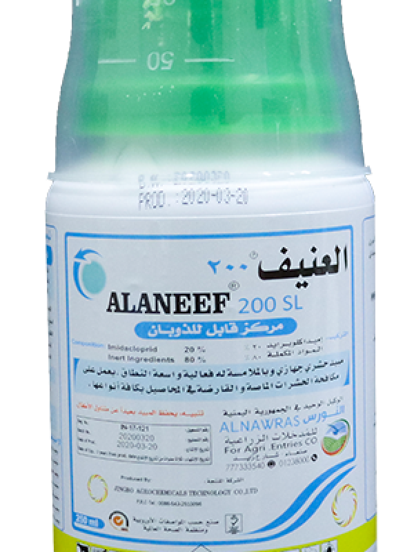 AlAneef